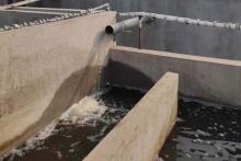 屠宰廢水處理工程實(shí)例（山東煙臺）